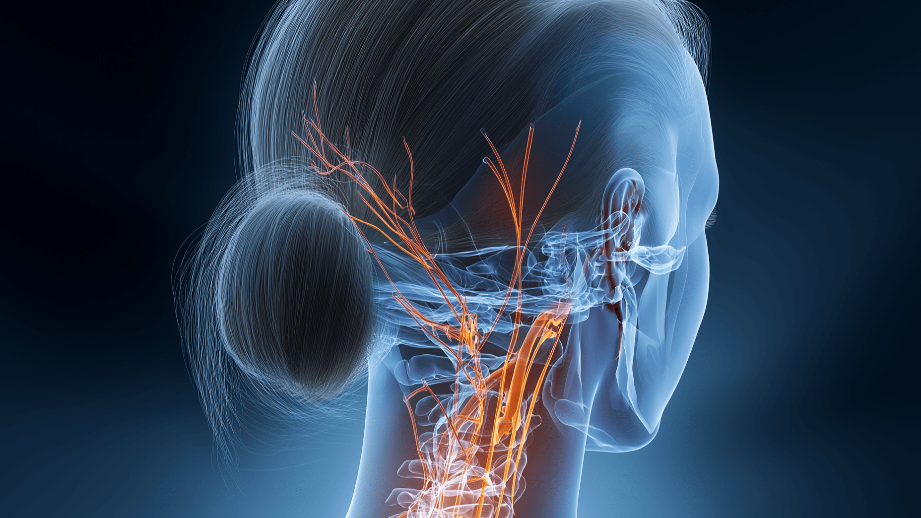 МРТ шейного отдела позвоночника и МР-ангиография головы